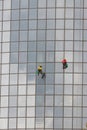 Two men workers hanging on ropes by the exterior windows of a skyscraper and cleansing them - autumn time and overcast