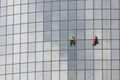 Two men workers hanging on ropes by the exterior windows of a skyscraper and cleansing them - industrial alpinism -