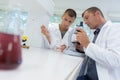 Two men working in science lab Royalty Free Stock Photo