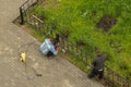 Two men working by welding build a metal fence