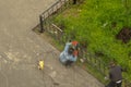 Two men working by welding build a metal fence