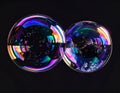 Two Merged Soap Bubbles Displaying Rainbow Iridescence on a Dark Background Royalty Free Stock Photo