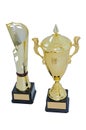 Two metal award cups of different models of gold color for winners