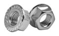 Two metal flange nuts on white background