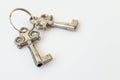 Two metal retro keys on a white background, copyspace Royalty Free Stock Photo