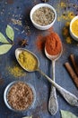 Two metal spoons with spices, bay leaf, flax seeds, dill, cinnamon sticks on a dark rustic background. View from above