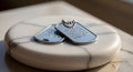 Two metallic dog tags rest on Royalty Free Stock Photo
