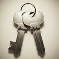 Two metallic keys linked by a circular keyring. Each key features a rectangular bow