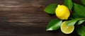 Two Meyer lemons with green leaves on a wooden table Royalty Free Stock Photo