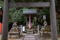 Two mice statues and shrine framed between torii gate on Otoyo Jinja shrine of Kyoto Royalty Free Stock Photo