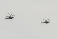 Two military helicopters Ka-52 Alligator Air Force VCS of Russia fly against the sky Royalty Free Stock Photo