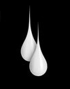 Two milk drops close-up isolated on black background Royalty Free Stock Photo