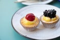 Mini fruit italian cupcakes with fresh berries on board Royalty Free Stock Photo