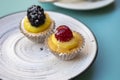 Mini fruit italian cupcakes with fresh berries on board Royalty Free Stock Photo