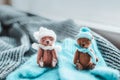 Two miniature teddy bears in winter clothes. Royalty Free Stock Photo