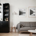 Two mock up posters frame on wall in modern interior background, living room. Books on cabinet. Scandinavian style. ing.