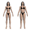 Two model girls in underwear, a slim and fat girl. The process of obesity of the girl body. Front view. 3D. Vector