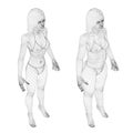 Two models of a wireframe girl in underwear, a slim and fat girl. The process of obesity of the girl body. Isometric