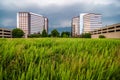 Two modern office buildings