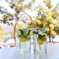 Two Mojito cocktails Royalty Free Stock Photo