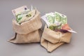 Two Money bags with euro Royalty Free Stock Photo