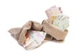 Two Money bags with euro Royalty Free Stock Photo