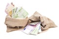 Two Money bags with euro Royalty Free Stock Photo