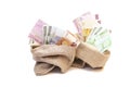 Two Money bags with euro isolated Royalty Free Stock Photo