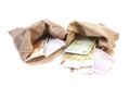 Two Money bags with euro Royalty Free Stock Photo