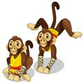 Two monkeys in a karate costume. Vector animals