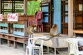 Two monkeys Long-tailed macaques sitting in old abandoned restaurant on Pulau Ubin Island, Singapore