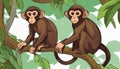 Two monkeys sitting on a tree branch