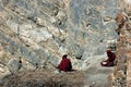 Two monks studying Royalty Free Stock Photo