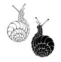 Two monochrome snails on white background Royalty Free Stock Photo
