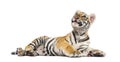 Two months old tiger cub lying against white background Royalty Free Stock Photo