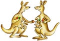 Kangaroo- mothers with baby cubs Royalty Free Stock Photo