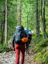 Two mountain climbers walking through a forest with backpacks