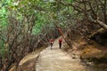Two mountain trekkers in magic rhododendron forest Royalty Free Stock Photo