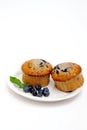 Two Muffins On A Saucer Royalty Free Stock Photo