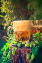 Two mugs beer wooden trunk Royalty Free Stock Photo