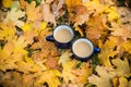 Two mugs of hot coffee Royalty Free Stock Photo