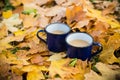 Two mugs of hot coffee Royalty Free Stock Photo