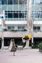 Cool Men Doing Break-Dance Royalty Free Stock Photo