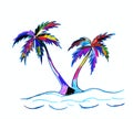 Two colorful palm trees on a white background Royalty Free Stock Photo