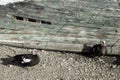 Two muscovy ducks next to the boards of an old boat stranded in the marshes of Chiclana de la Frontera