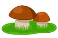 Two mushrooms with green grass