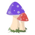 Two mushrooms. Vector illustration on white background. Royalty Free Stock Photo