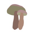 Two mushrooms on white background. Hand drawn. Flat icon.