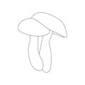 Two mushrooms on white background. Hand drawn. Line icon. Royalty Free Stock Photo