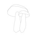 Two mushrooms on white background. Hand drawn. Line icon. Royalty Free Stock Photo